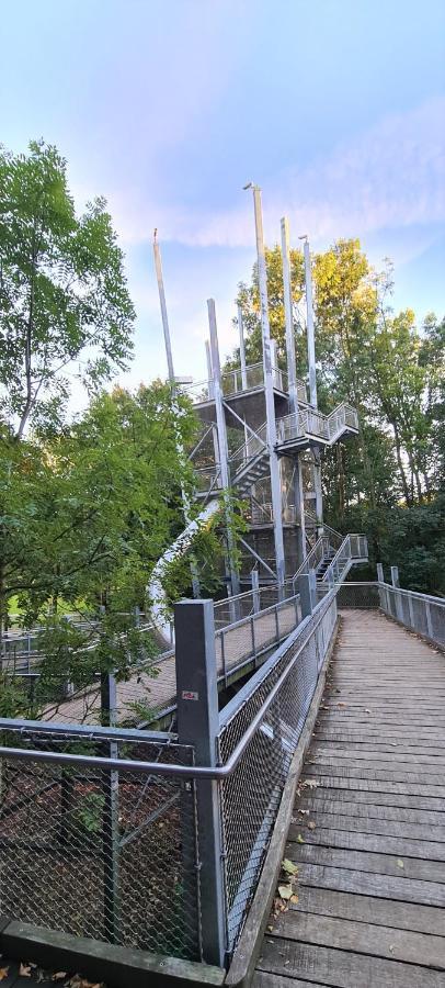 Idyllisches Ferienhaus Naehe Meyer Werft Папенбург Екстериор снимка